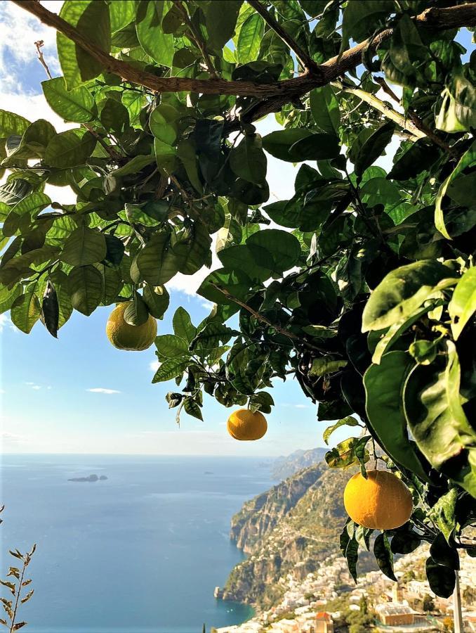 Colle Dell'Ara Bed & Breakfast Positano Exterior photo