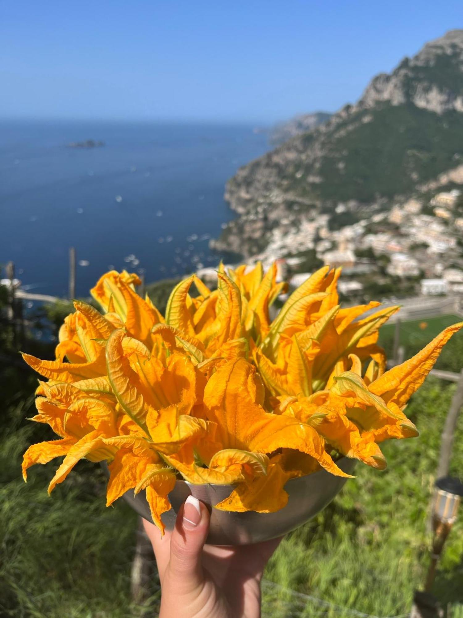 Colle Dell'Ara Bed & Breakfast Positano Exterior photo